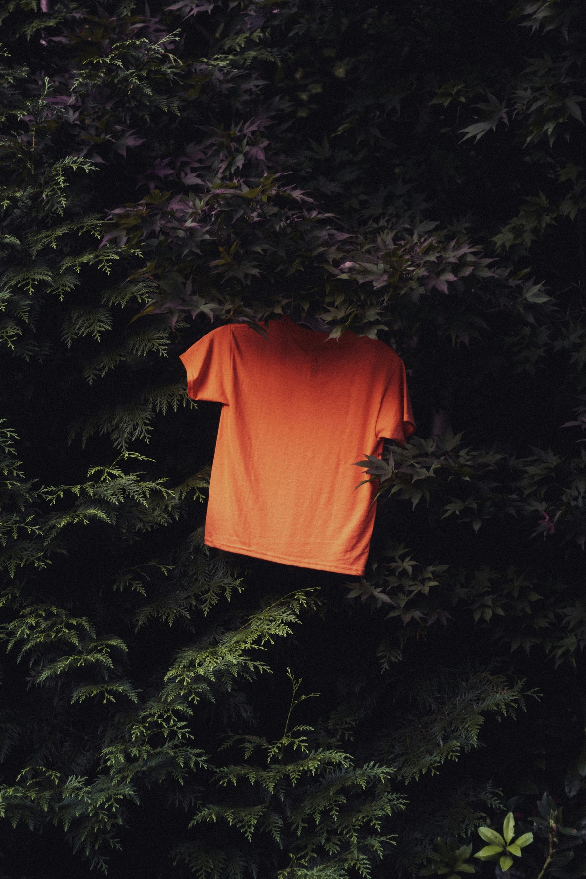 KYNVEX modern streetwear collection